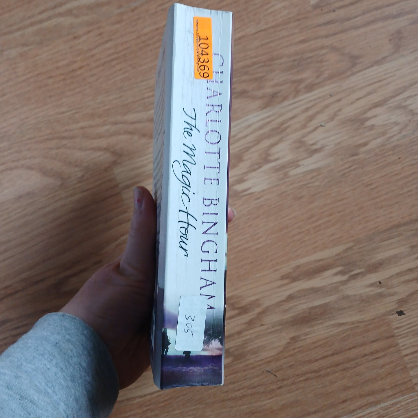 The Magic Hour by Charlotte Bingham