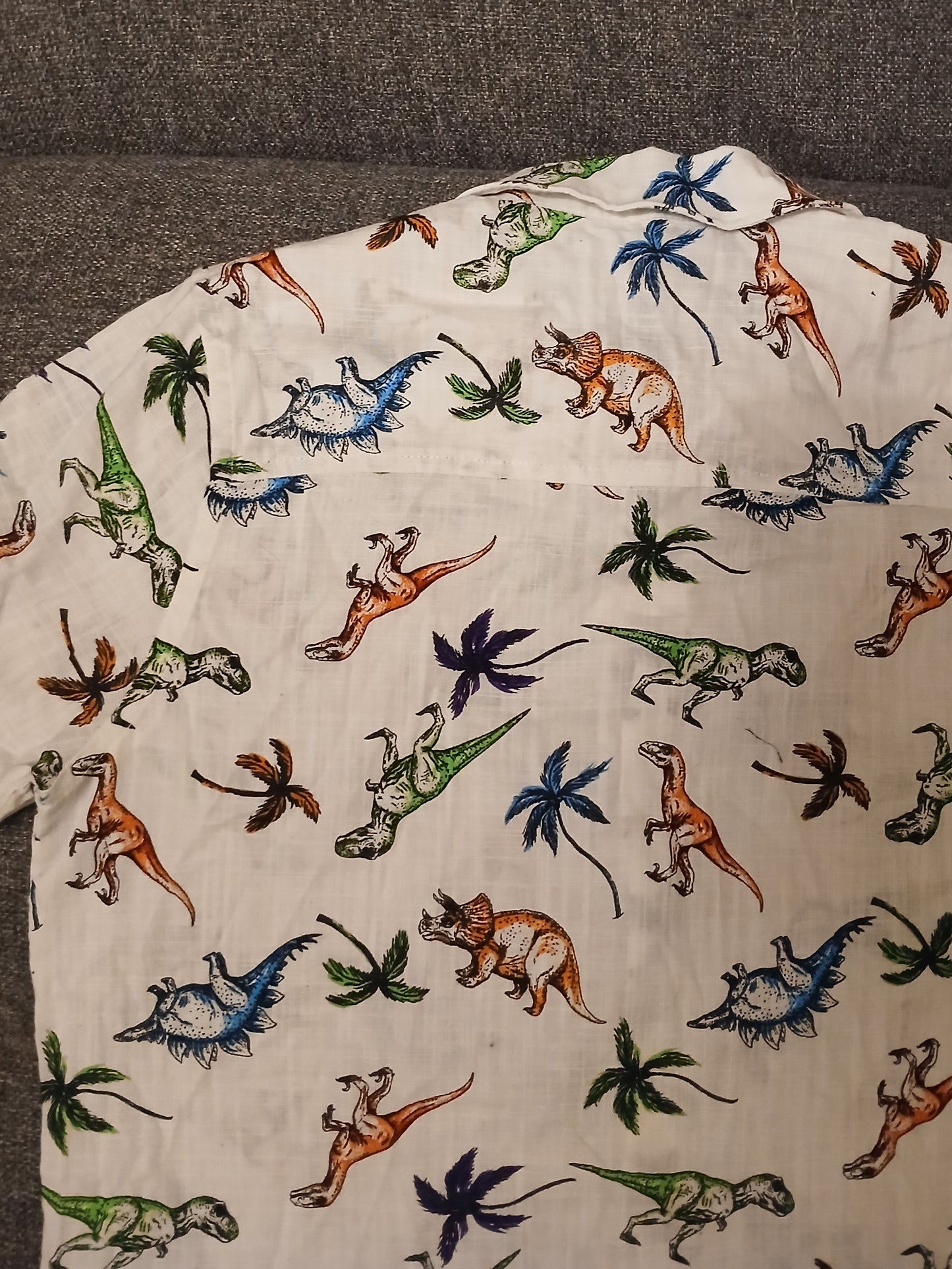 F&F Dinosaur Shirt Age 10-11